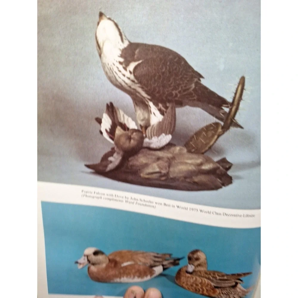 Championship Carving, Hardcover by Veasey, Tricia; Johnson, Tom, Like New‎